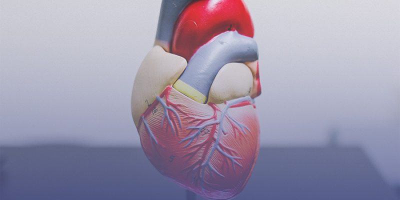 Cardiovascular Diseases